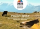 Sustainable soil management in mountain regions - policy brief